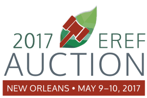 Auction 2017 Logo