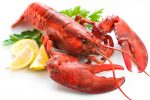 lobster lobster